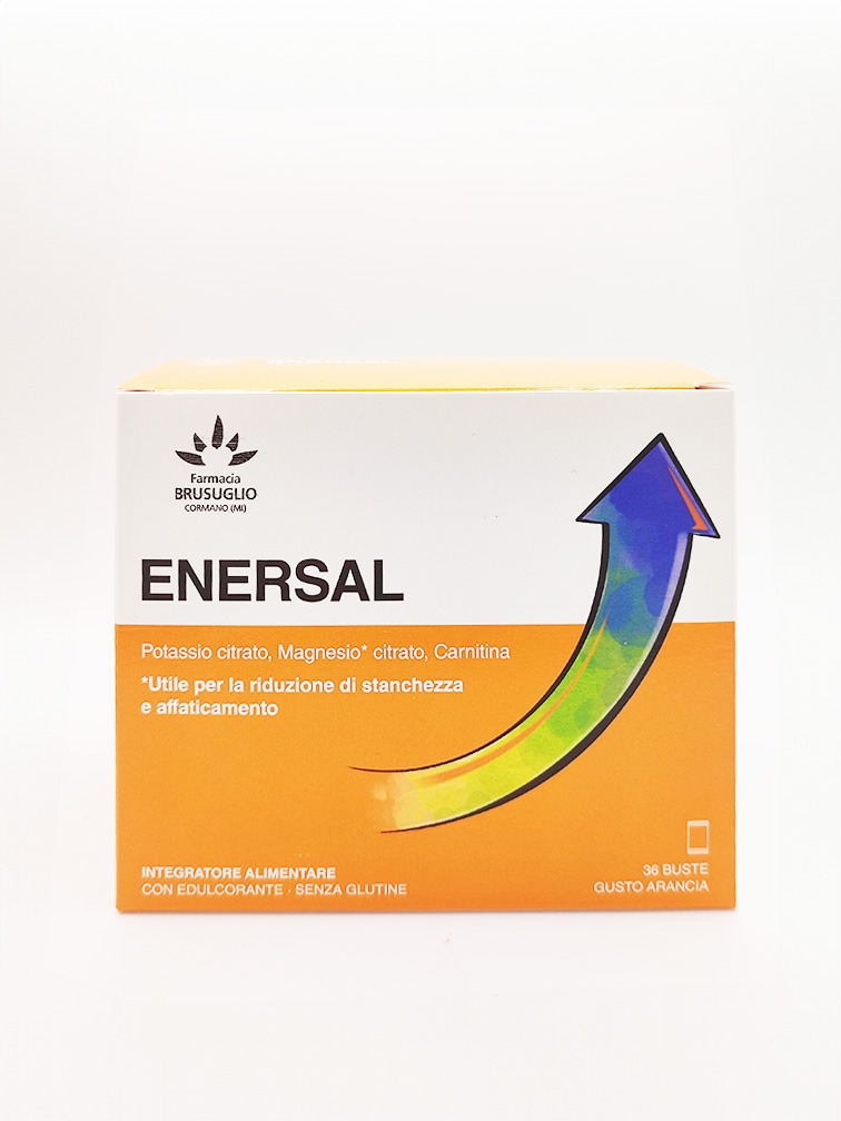 LFP ENERSAL 36BUST