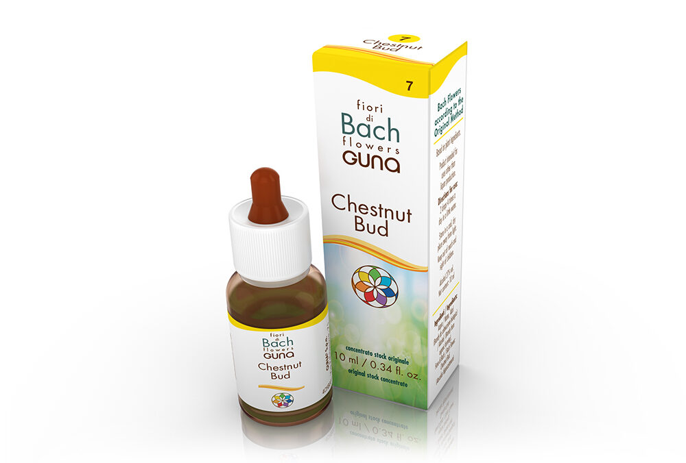 Chestnut Bud 10 ml