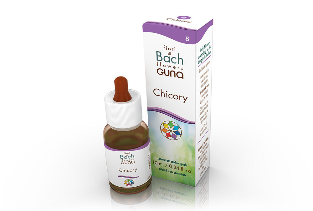 Chicory 10 ml
