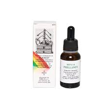 MTS14 PHELLINUS GTT 20ML