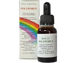 MTS15 POLYPORUS - GOCCE 20ML